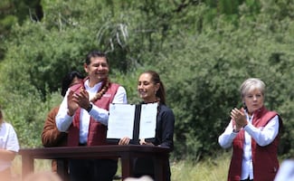 Sheinbaum firma decreto para establecer anualmente jornada de reforestación; se realizará el segundo domingo de agosto