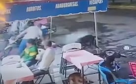 VIDEO: Sujeto lanza agua hirviendo a dos perritos en Tanhuato, Michoacán; Fiscalía inicia investigación por maltrato animal