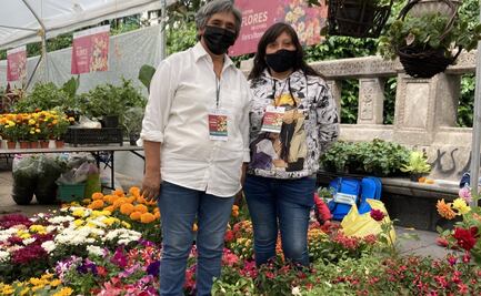 Llega a Paseo de la Reforma el “Festival Flores de Otoño”; hay 142 productores