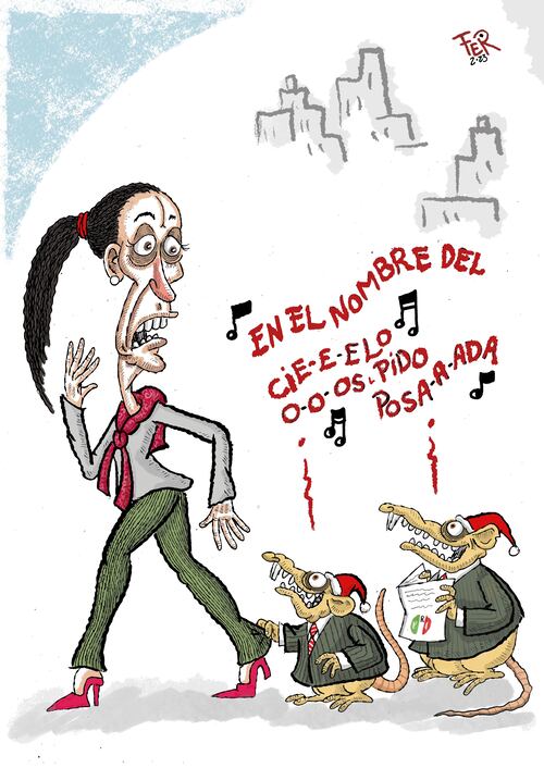 Cartón de FER