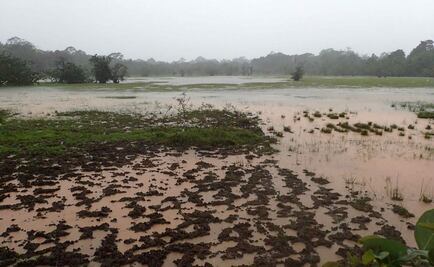 Suman nueve muertos por "Otto" en Costa Rica