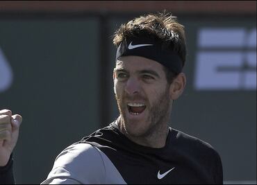 Del Potro vence a Federer y se lleva el Indian Wells
