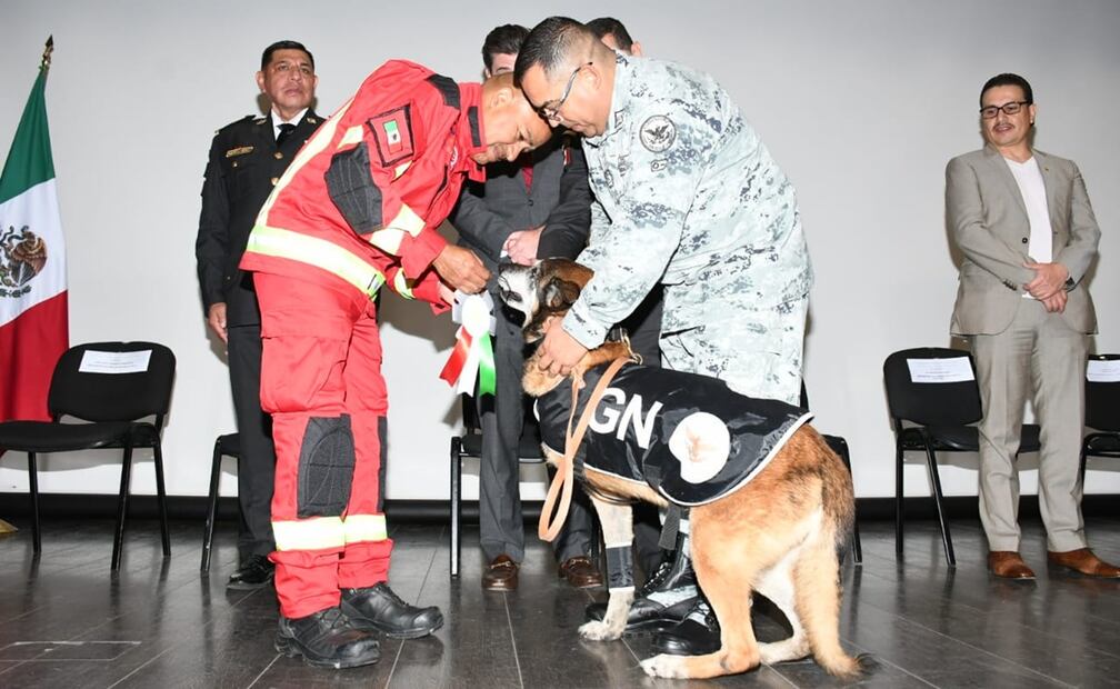 Foto: Guardia Nacional