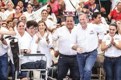 Autodefensas abusan y lastiman: Meade