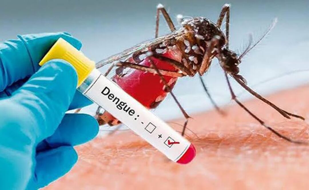 De los casos confirmados: 4 mil 655 son de dengue no grave, mil 95 de dengue con signos de alarma y 674 de dengue grave. Foto: Especial