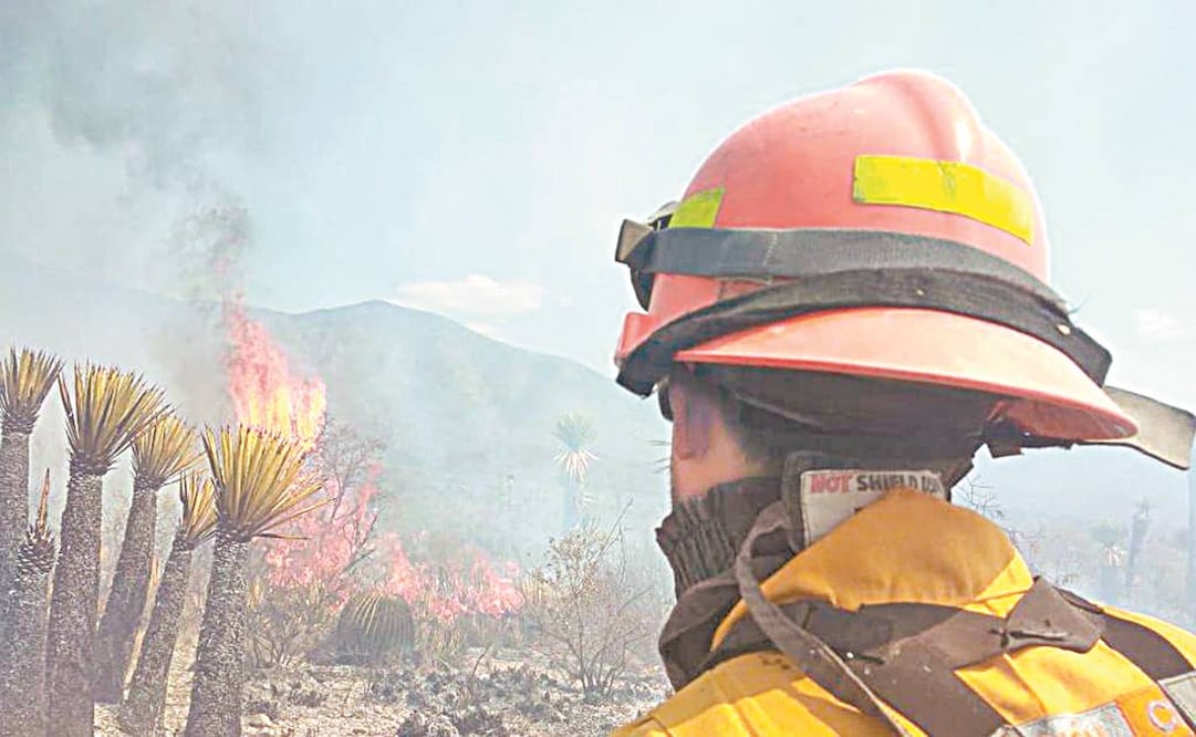 La Brigada Fénix enfrentó más de 42 grados centígrados. Foto: Especial.