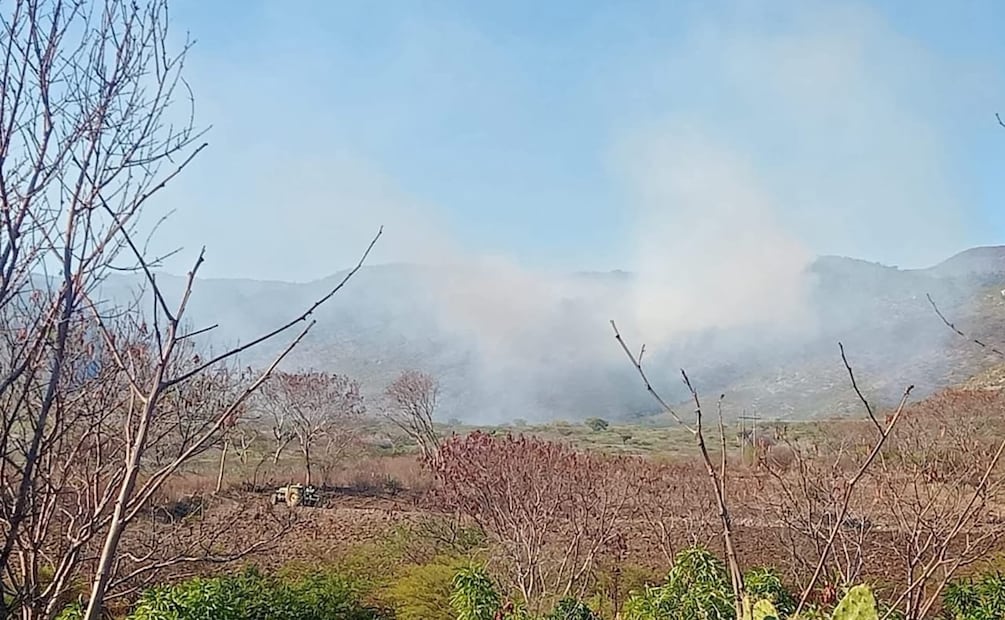 El incendio forestal afecta principalmente a bosques de encinos. Foto: Especial