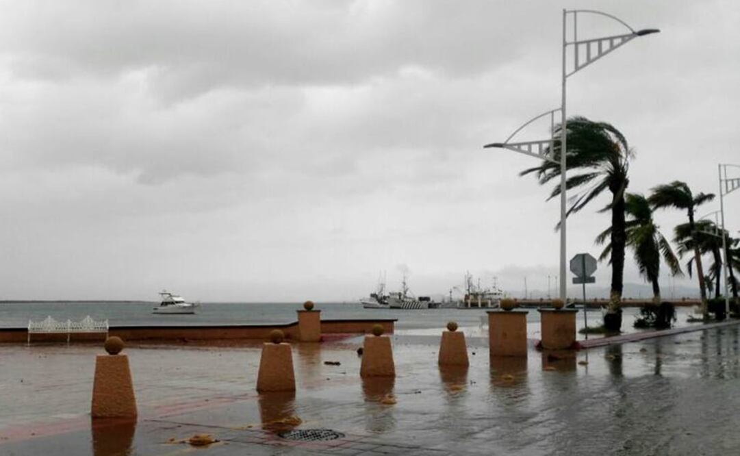 Foto: Archivo/ EL UNIVERSAL                                  