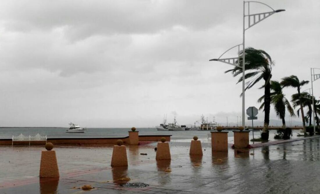 Foto: Archivo/ EL UNIVERSAL