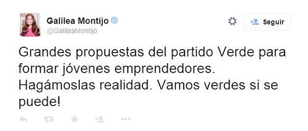 INE desechará caso de tuits a favor del PVEM