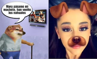 Los mejores memes que dejaron los “therians”, nueva tendencia que está marcando las redes