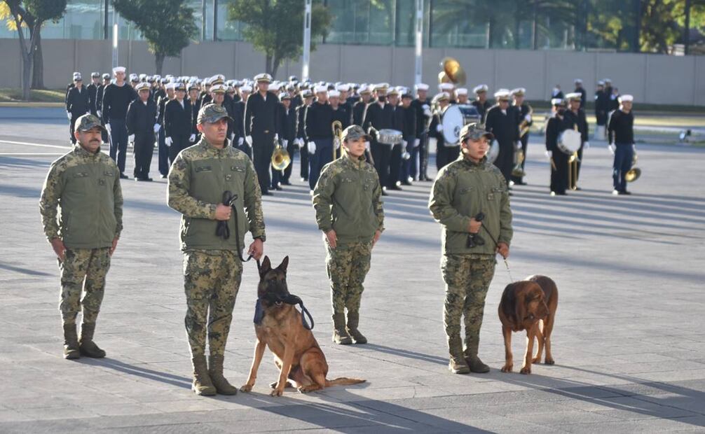 Max cuenta con siete años nueve meses y Ecko con siete años 11 meses. Foto: