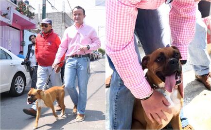 Mikel adopta perrita; dice que los animales están en su agenda