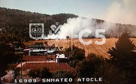 Reportan incendio de pastizal en Xochimilco
