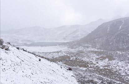 FOTOS: Ajusco y el Nevado de Toluca se pintan de blanco y así se ven