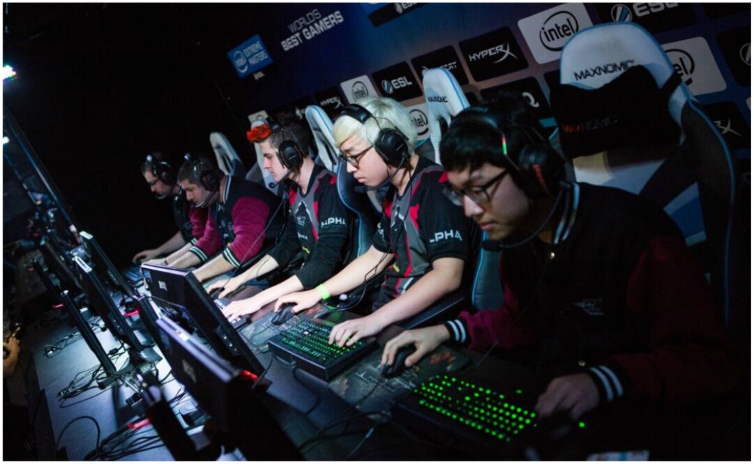 Se los llama periféricos y para los gamers pueden hacer la diferencia entre perder o ganar