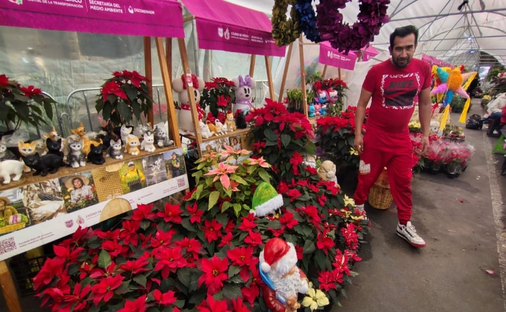 Testimonios navideños en el Zócalo; productores confían en el repunte de ventas. Foto: Arantxa Meave