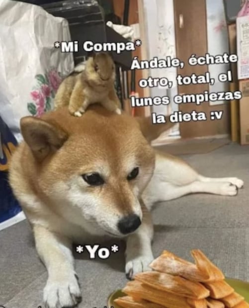 Los mejores memes del Día de la Candelaria. Foto: Captura de pantalla