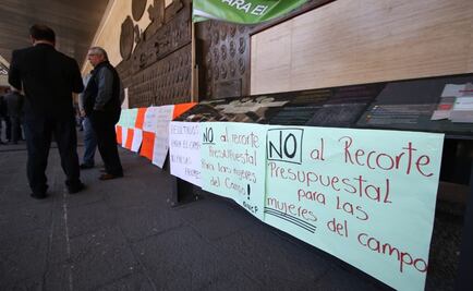 Formarán frente por el campo; piden 20 mil millones de pesos