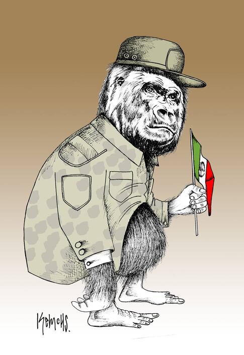 La otra viruela del mono