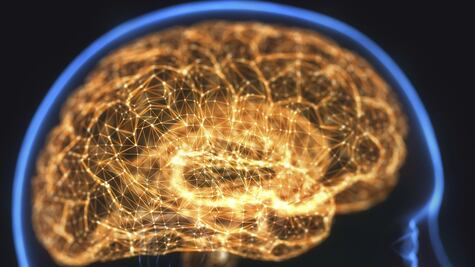 "El cerebro tiene más neuronas que las estrellas existentes en la galaxia"