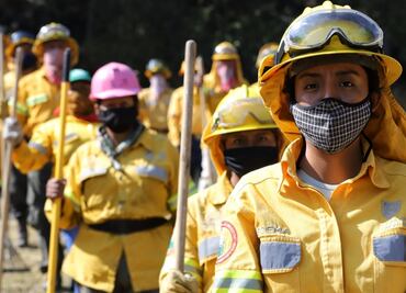 Reportan crecimiento de fauna silvestre de venados y aves en CDMX por confinamiento