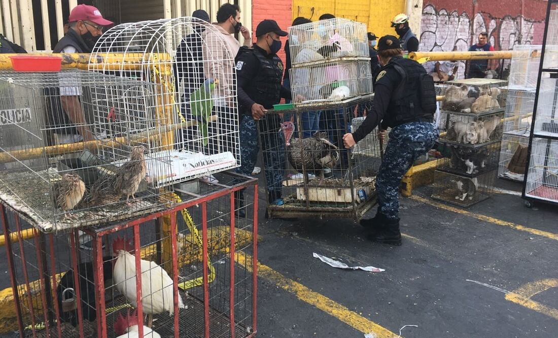 Foto: Diego Simón /EL UNIVERSAL