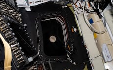 Astronautas de Artemis II entran en órbita lunar; inician siete horas de observación