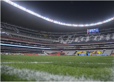 Dolorosa e irremediable decisión