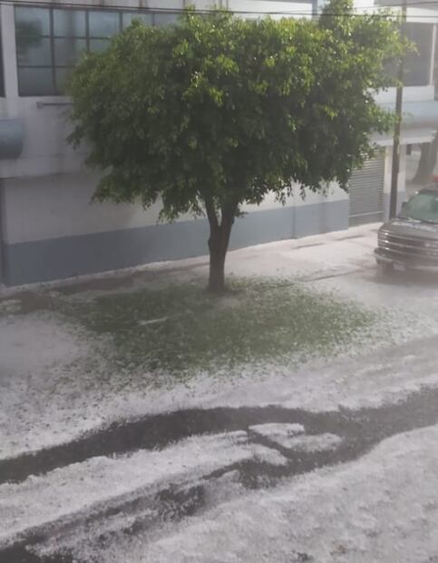 Así "pintó" de blanco fuerte granizada a la CDMX: fotos y videos