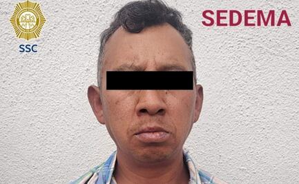 Detienen a sujeto por tala ilegal de árboles en alcaldía Álvaro Obregón; le decomisan motosierra y 26 trozos de madera