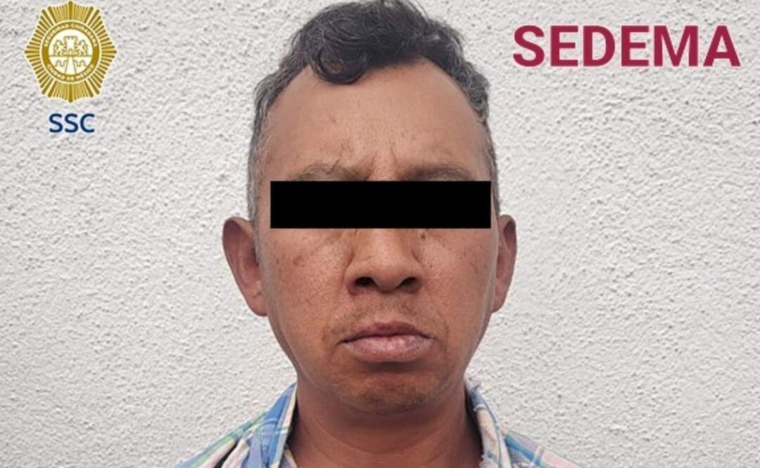 Detienen a hombre por prácticas de tala ilegal de árboles en la alcaldía Álvaro Obregón de la CDMX (10/05/2025). Foto: Especial