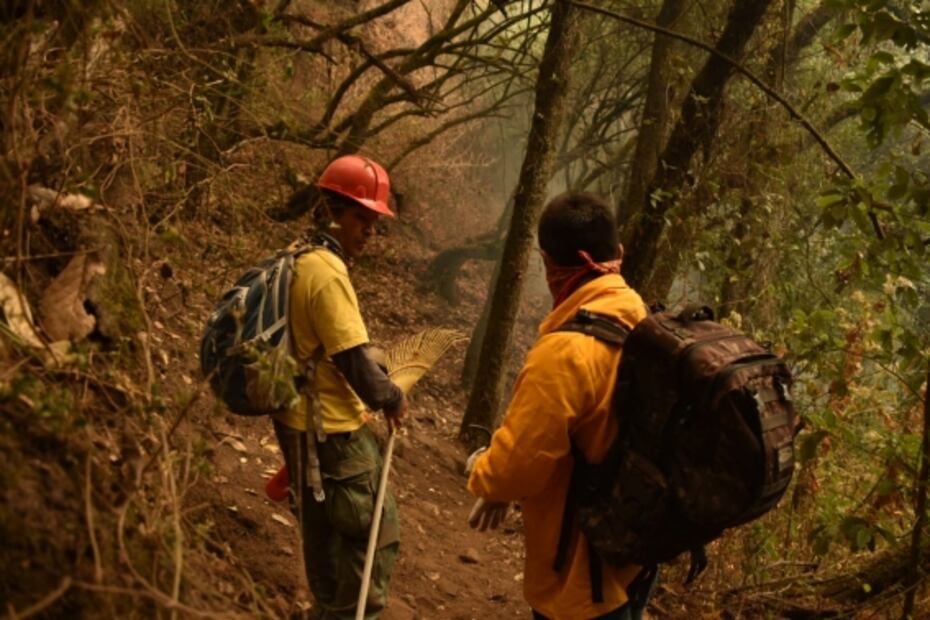 Incendio forestal en cerro del Tepozteco consume 50 hectáreas de bosque en Morelos