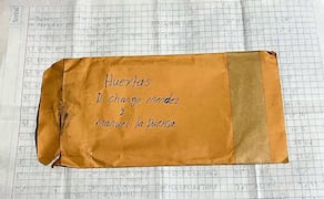 Sobre el Chango