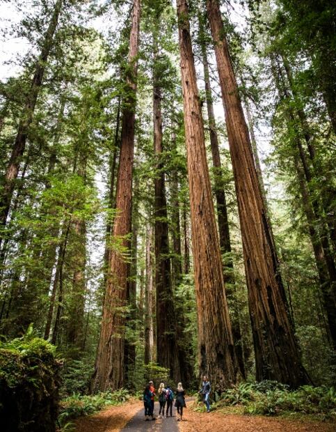 16 cosas que puedes hacer en California y no sabías