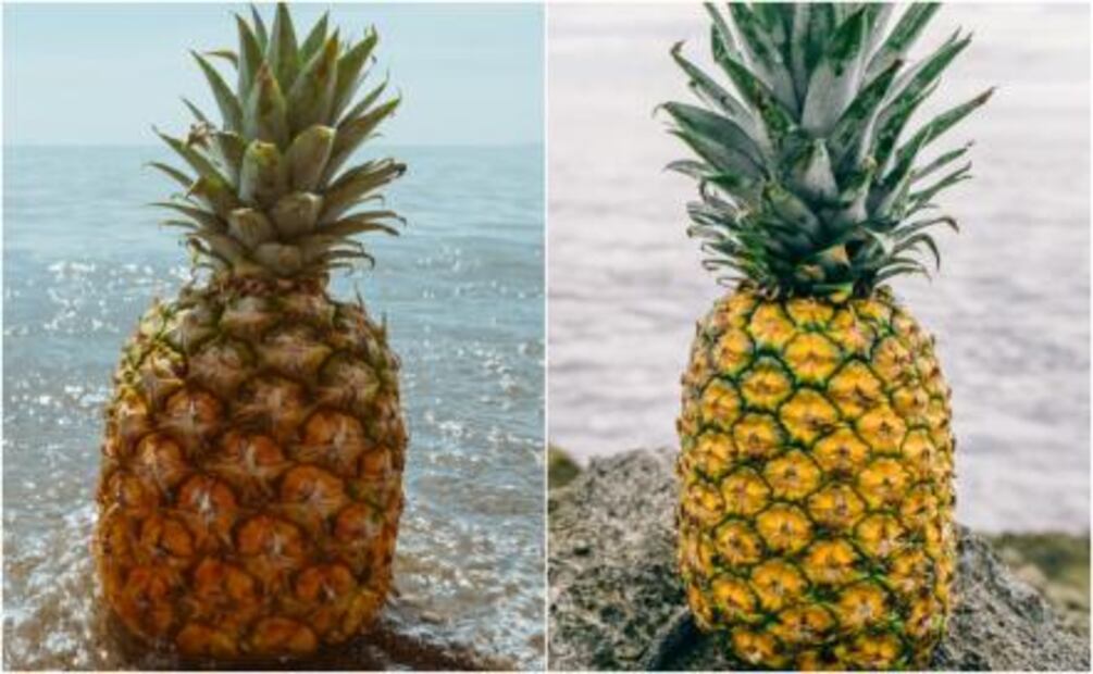 ¿Cómo elegir frutas y verduras adecuadamente?