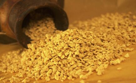 UNAM students create geothermal food dehydrator