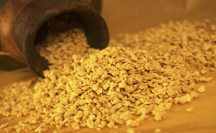 UNAM students create geothermal food dehydrator