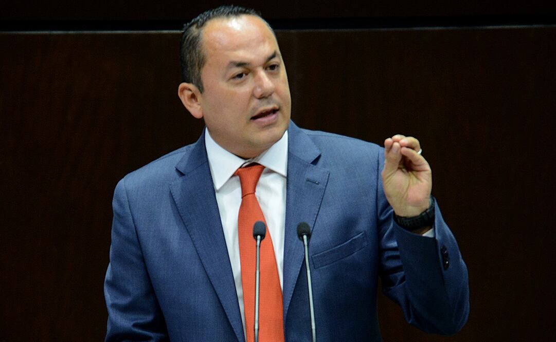 El senador del PAN, Erandi Bermúdez Méndez (Foto: Archivo / EL UNIVERSAL)