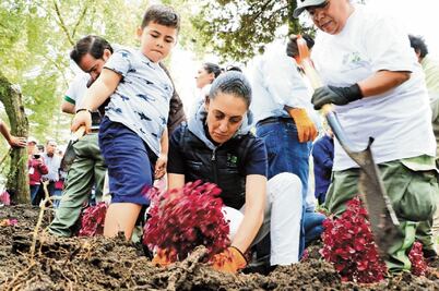 Dos empresas van por L1 de Cablebús