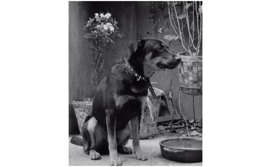 El Borras. Foto: Instagram romacuaron