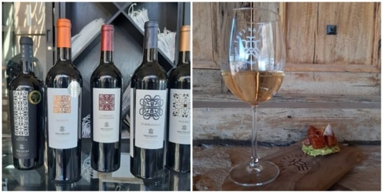 Guanajuato avanza en el mercado vinícola