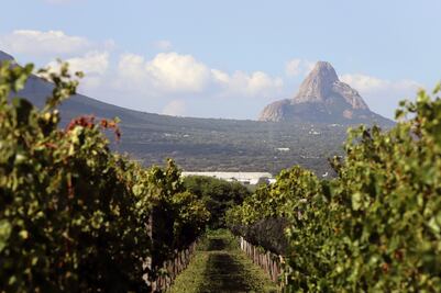 Arranca el México Selection by Concours Mondial de Bruxelles en Querétaro