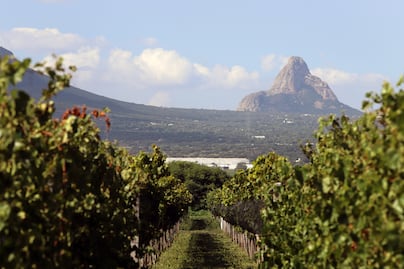 Arranca el México Selection by Concours Mondial de Bruxelles en Querétaro