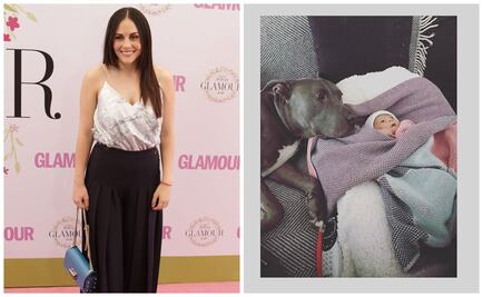 Los pitbull no son peligrosos, sino sus dueños: Zuria Vega