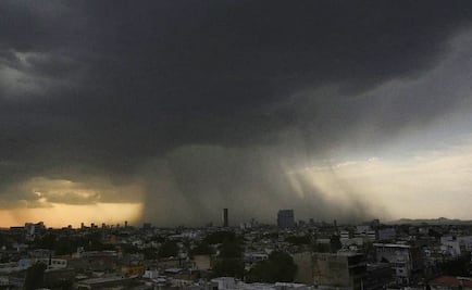 Fuertes lluvias en Guadalajara provocan caída de árboles e inundaciones
