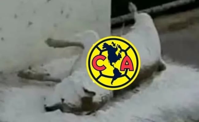 Las derrotas de Pumas y América en los memes de la semana