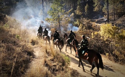 Los estragos de la tercera ola de calor en México: casos por insolación, incendios forestales y muertos