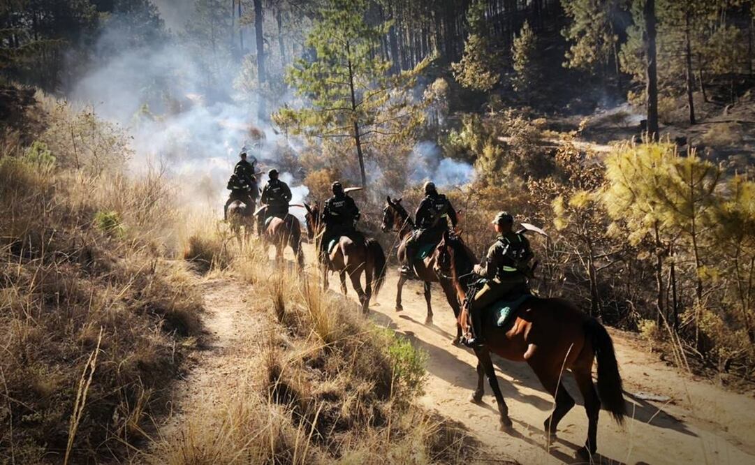 Ola de calor provoca incendios