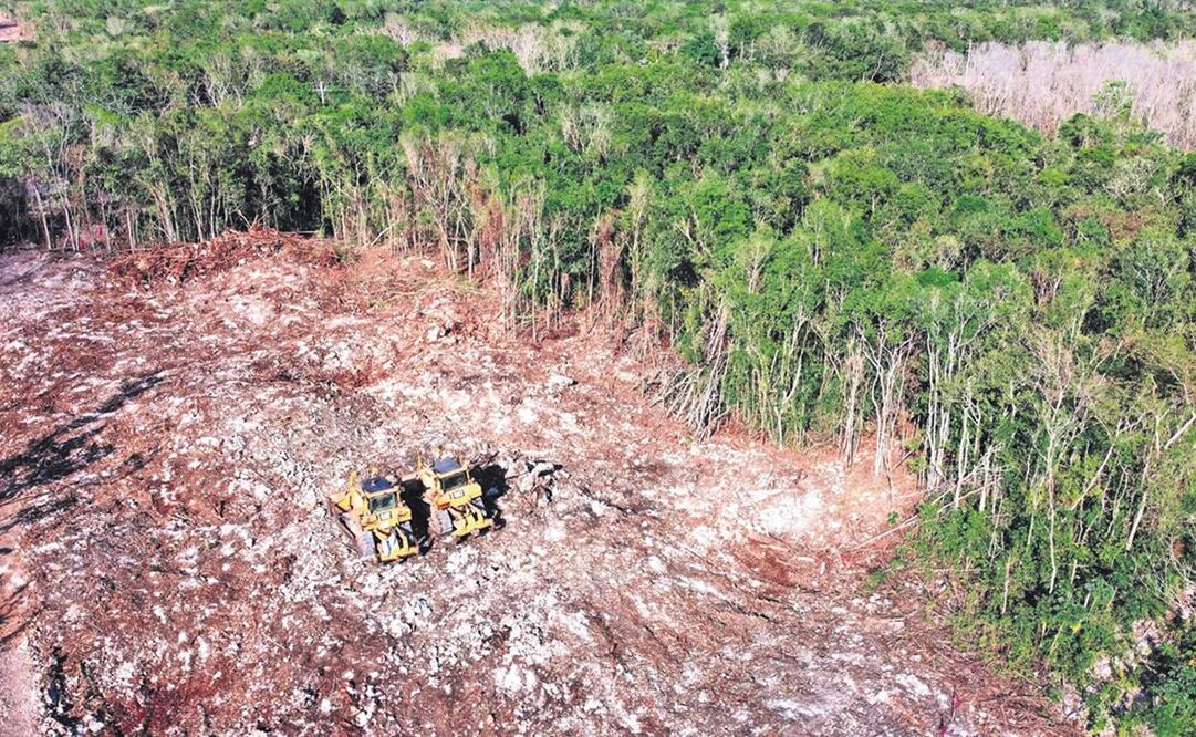 La izquierda latinoamericana y el medio ambiente